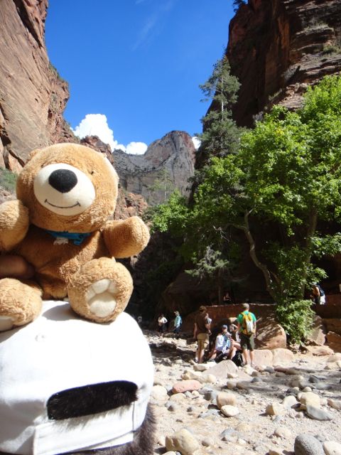 All three - jeff noel, Chapin Noel & Jack the Bear - made it safely