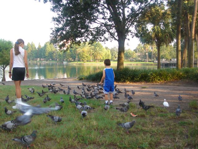 ...but these pigeons do.