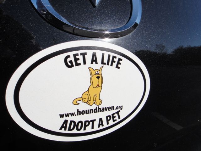 A brilliant example of how you save not only a pet's life, but maybe your own as well.