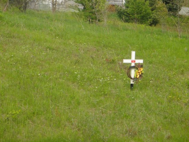 I see way too much of this in my travels and I hate it. The pain of roadside crosses seems unbearable.