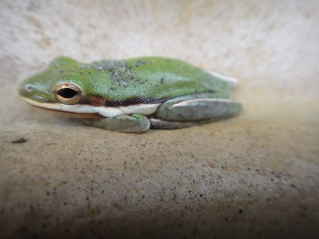 Some are very shy about their feet.