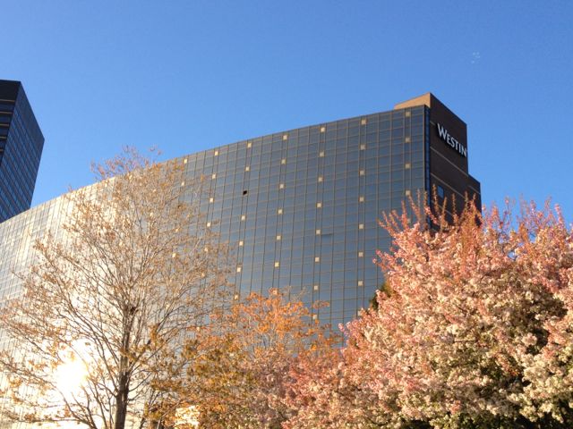 in Detroit area for three days...a planned three day rest before the Windermere 5k active rest
