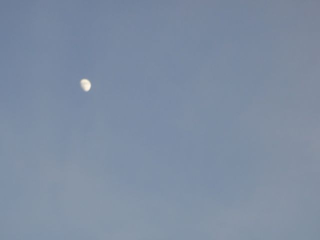 moon rise