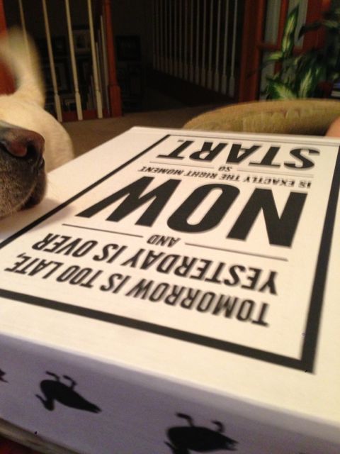Photo of Seth Godin's newest book