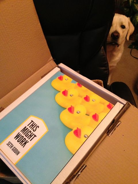 photo of Seth Godin's newest book