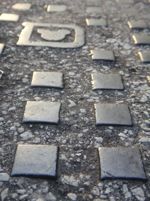 Disney drainage hole cover
