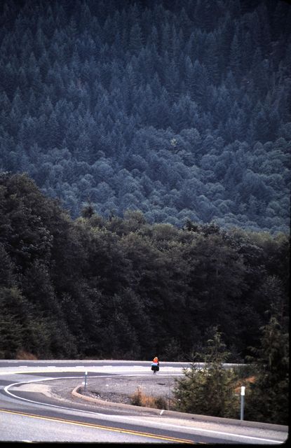 solo bicyclist in the Pacific Northwest