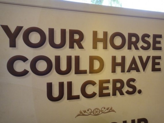 warning sign for horses and ulcers