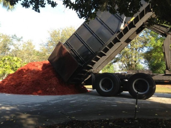 A big truck load of red mulch being dumped