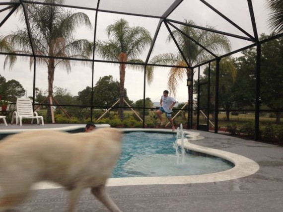 Florida backyard pool