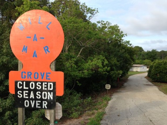 orlando Orange Grove closed for season sign