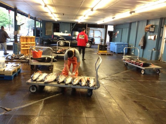 Suisan Fish Market Hilo, Hawaii