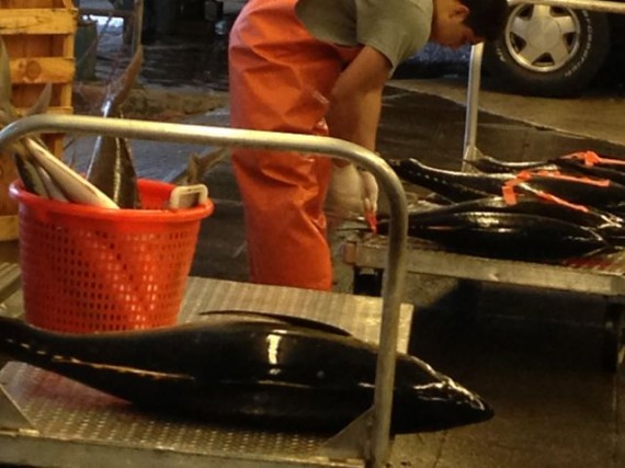 Suisan Fish Market Hilo, Hawaii