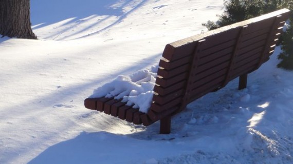 Snow covered park bench