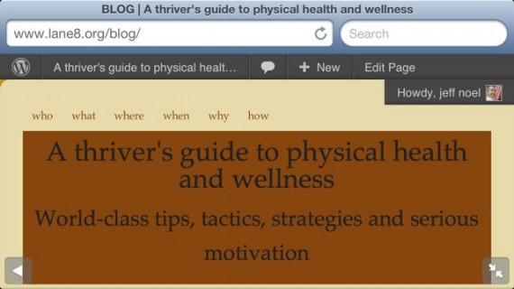 Lane 8 website header color is brown on purpose