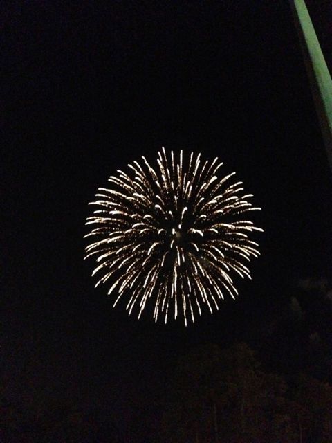 Walt Disney World fireworks