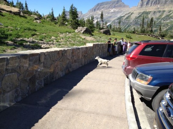 Glacier National Park - The Crown of the Continent