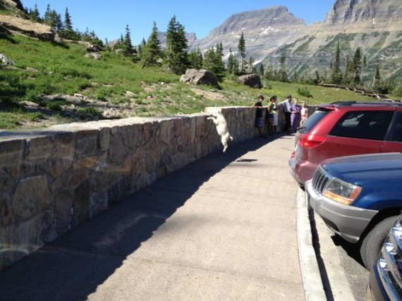 Glacier National Park - The Crown of the Continent