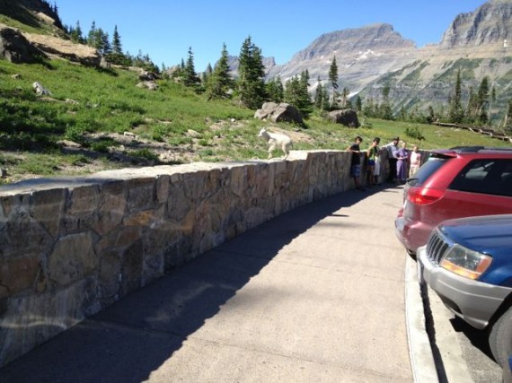 Glacier National Park - The Crown of the Continent