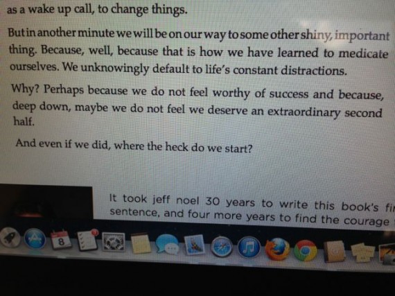 Mid Life Celebration book back cover excerpt.