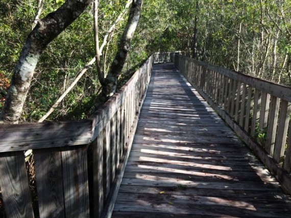 Tibet Butler Nature Preserve in Orlando