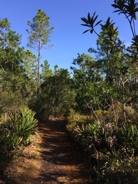 Tibet Butler Nature Preserve in Orlando