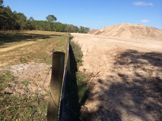 Woodlands and residential property line