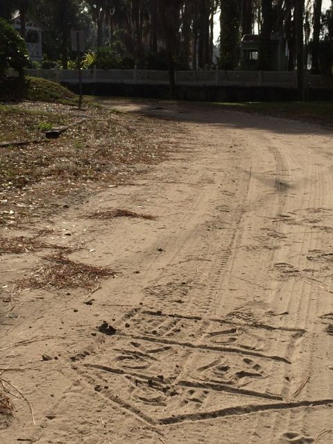 Windermere Florida is a quaint little town near Walt Disney World
