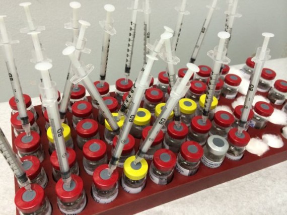Box of serum vials and needles