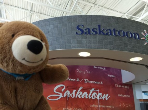 Jack the bear in Saskatoon airport