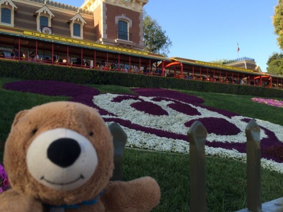 Jack the Bear at Disneyland entrance