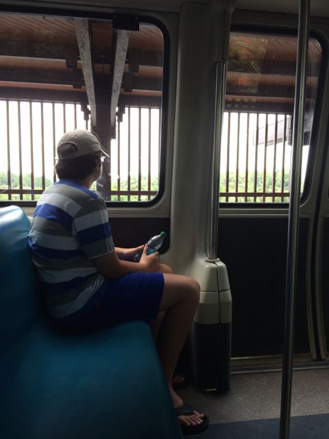 Teenager in Disney monorail