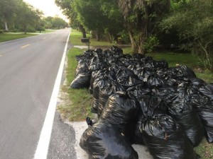 Piles of trash bags on West Gulf Drive in Sanibel