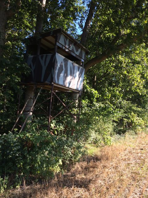 Pennsylvania Hunter's stand