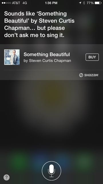 Steven Curtis Chapman song, Something Beautiful 
