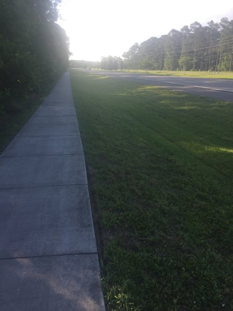 sidewalk adjacent to Tibet Butler Nature Preserve.