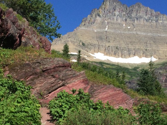 Swiftcurrent Pass trail 