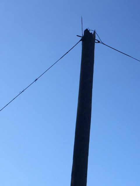 Damaged Florida power line