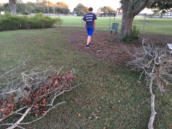 gathering firewood in a residential area