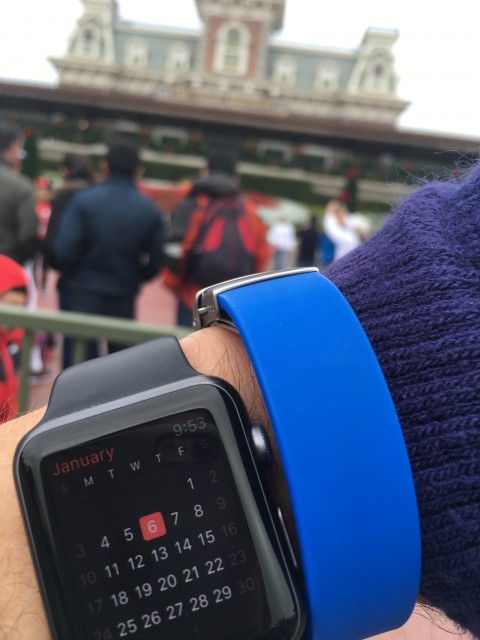Apple Watch at Magic Kingdom