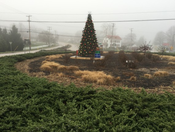 Spring Grove, PA circle Christmas tree