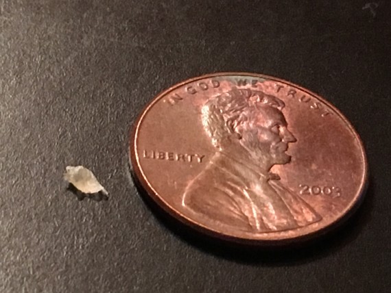 Penny and splinter comparison