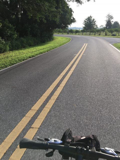 Biking near Walt Disney World
