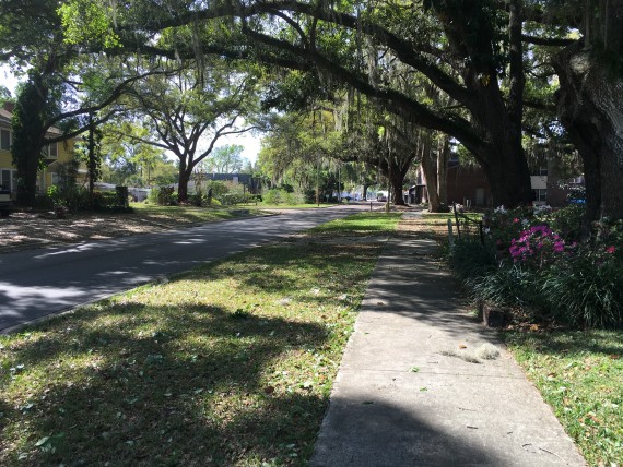 Winter Garden Florida