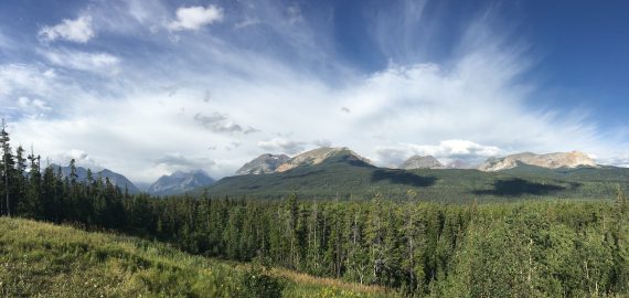 Waterton Park