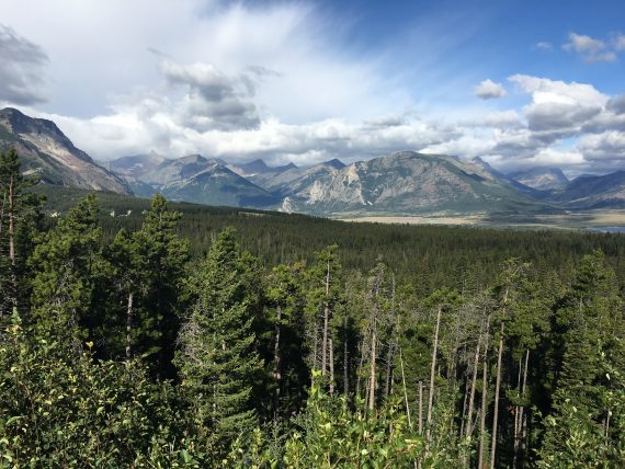 Waterton park