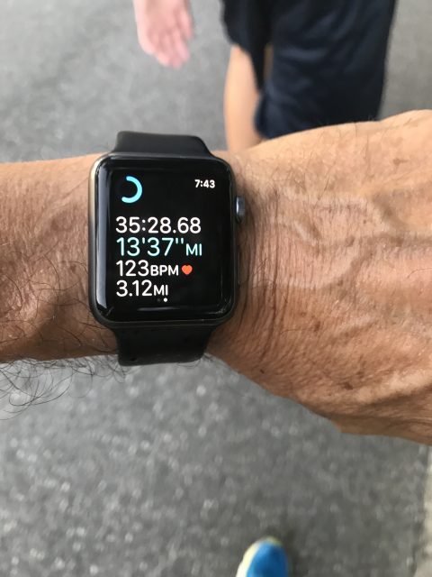 Apple Watch stopwatch