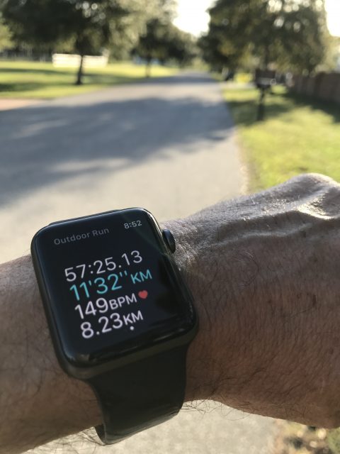 Wellness journey
