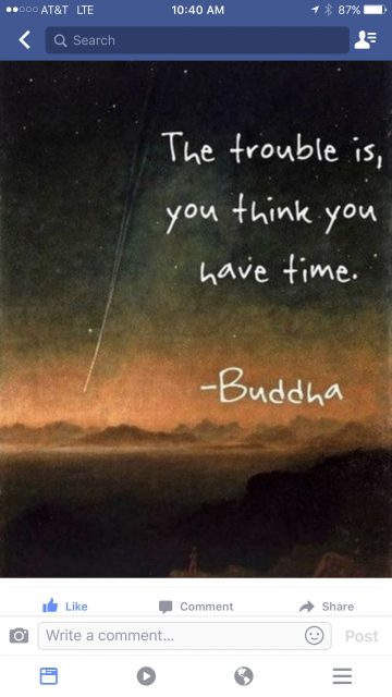 Buddha quote
