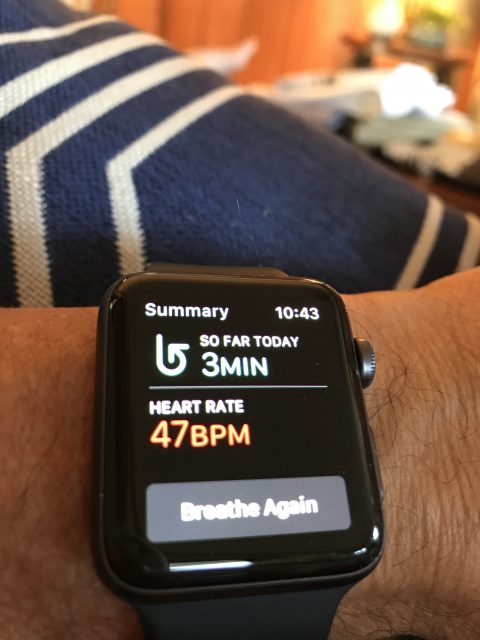 Disney wellness speaker